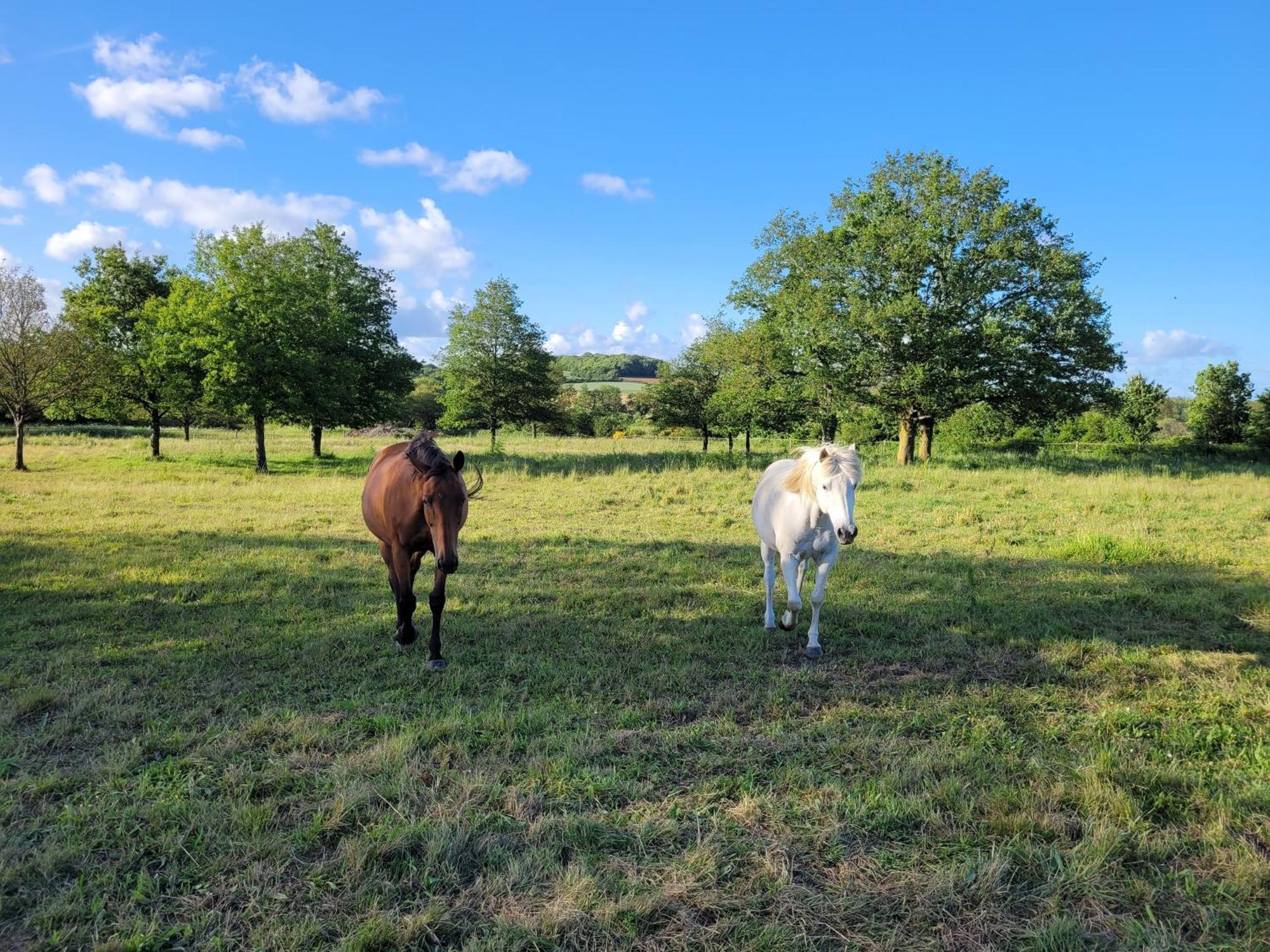 Apartamento Domaine De Val Leose Grand-Fougeray